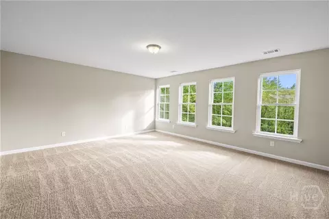 Other - 136 Watson Mill Rd, Guyton, GA 31312 photo 11 of 13