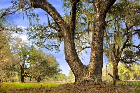 1 Williams Retreat Retreat, Savannah, GA 31419
