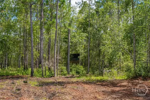 0 Fourth Ext, Guyton, GA 31312 photo 9