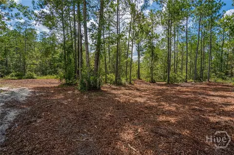 0 Fourth Ext, Guyton, GA 31312 photo 4