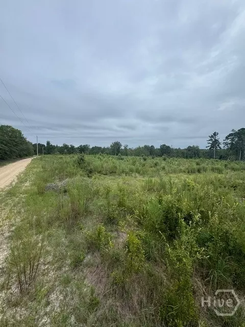 0 Kennedy Bridge Rd, Register, GA 30452 photo 2