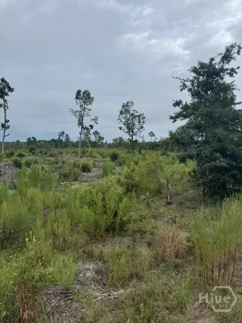 0 Kennedy Bridge Rd, Register, GA 30452 photo 3