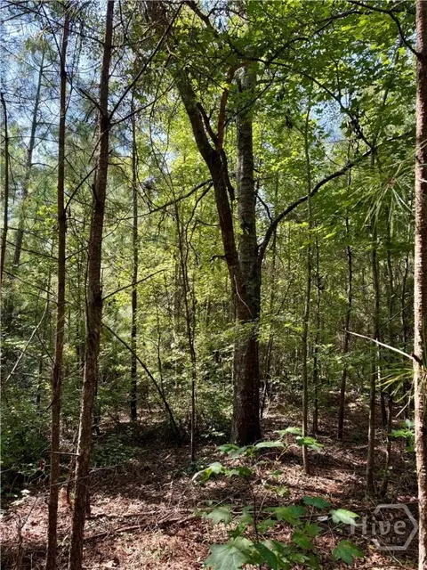 0 Best Bridge Rd, Sylvania, GA 30467