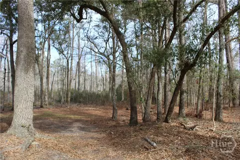 776 Phillips Rd, Midway, GA 31320 photo 6