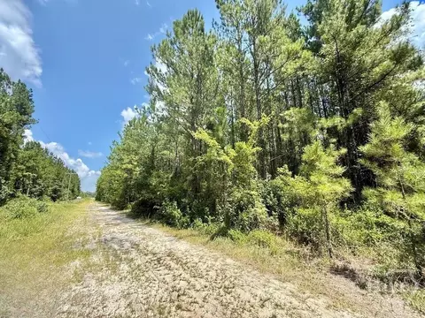 1 Firetower Rd, Ludowici, GA 31316