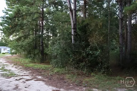 lot125 Orange Ct, Sylvania, GA 30467