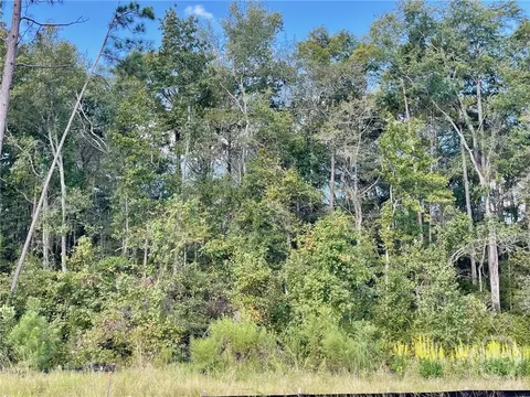 234 Bircholt Grv, Pooler, GA 31322 photo 2