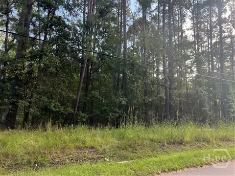 0 Grove Point Rd, Savannah, GA 31419