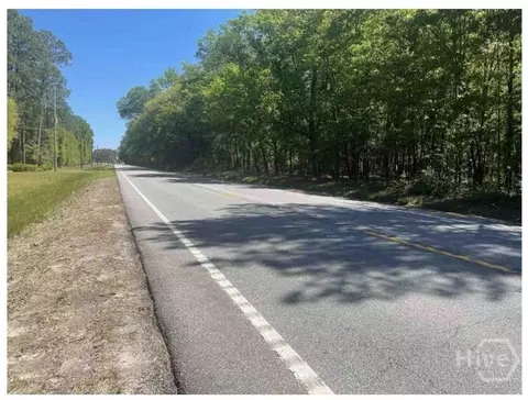 0 Highway 119, Guyton, GA 31312 photo 10