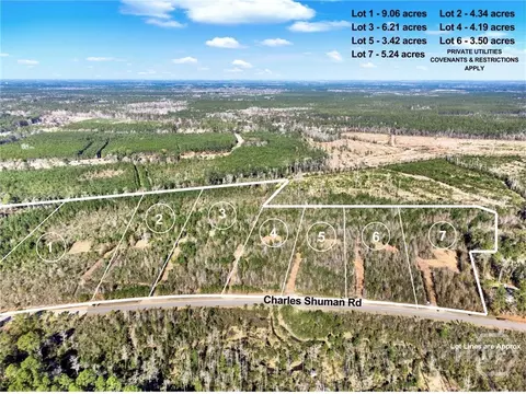 lot3 Charles Shuman Rd, Pembroke, GA 31321