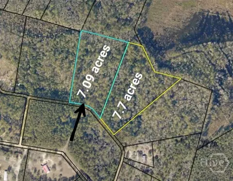0 Hillside Dr - 709 Acres Dr, Claxton, GA 30417