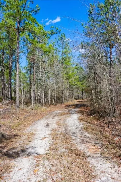 0 Tillman Eason Rd, Claxton, GA 30417 photo 12