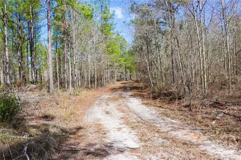 0 Tillman Eason Rd, Claxton, GA 30417 photo 7