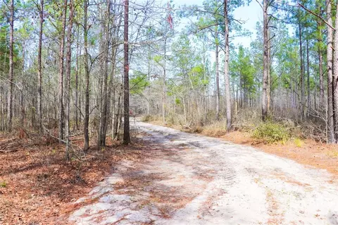 0 Tillman Eason Rd, Claxton, GA 30417 photo 13