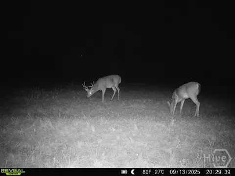 0 Tillman Eason Rd, Claxton, GA 30417 photo 21