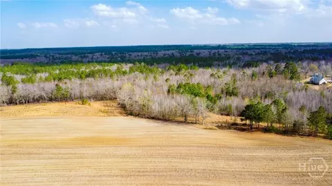 0 Tillman Eason Rd, Claxton, GA 30417 photo 8