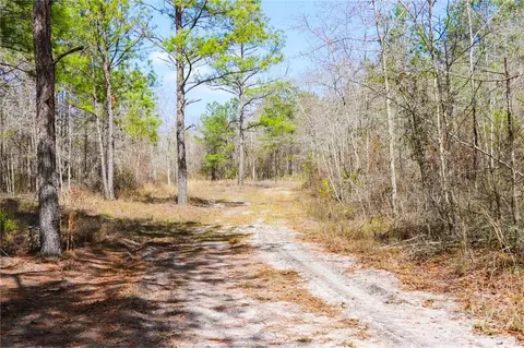 0 Tillman Eason Rd, Claxton, GA 30417 photo 3