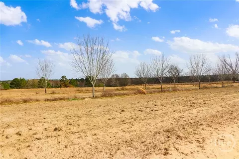 0 Tillman Eason Rd, Claxton, GA 30417 photo 17