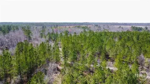0 Tillman Eason Rd, Claxton, GA 30417 photo 10