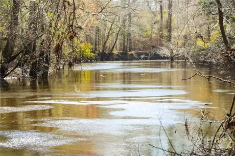 0 Tillman Eason Rd, Claxton, GA 30417