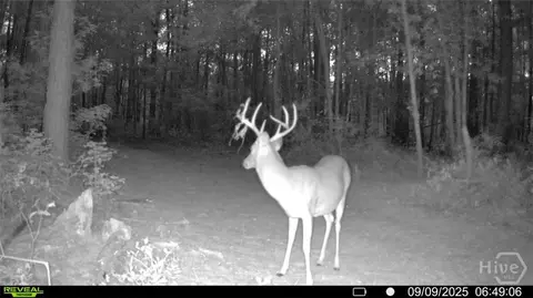 0 Tillman Eason Rd, Claxton, GA 30417 photo 25