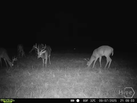 0 Tillman Eason Rd, Claxton, GA 30417 photo 23