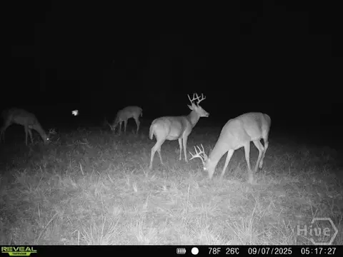 0 Tillman Eason Rd, Claxton, GA 30417 photo 22