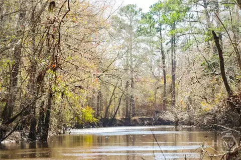 0 Tillman Eason Rd, Claxton, GA 30417 photo 2