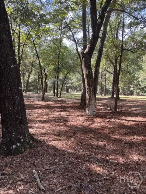 392 Reiser Rd, Springfield, GA 31329