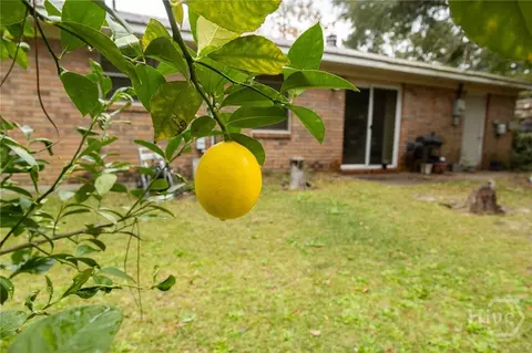 205 Whitehall Ave, Rincon, GA 31326 photo 5