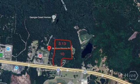 0 Hwy 21, Springfield, GA 31329 photo 3