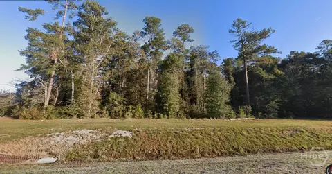 0 Hwy 21, Springfield, GA 31329 photo 4