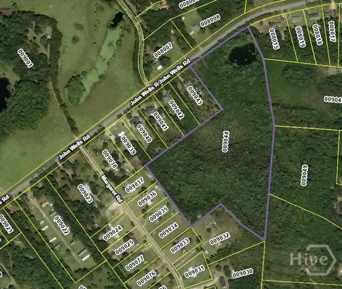 21 57 Ac John Wells Rd, Hinesville, GA 31313