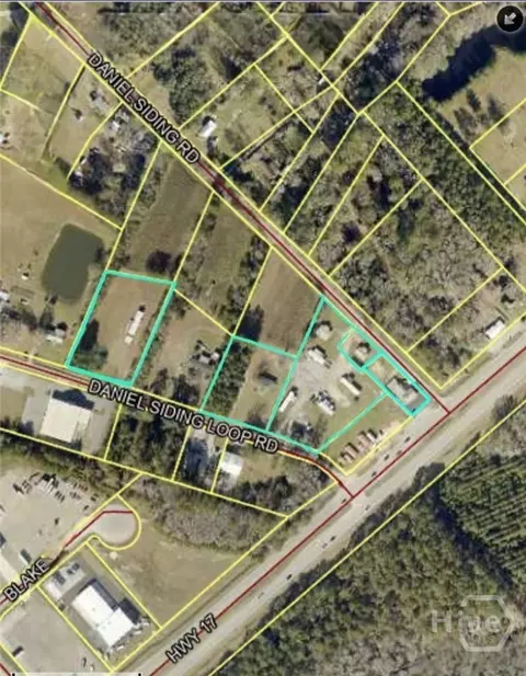 81 Daniel Siding Rd, Richmond Hill, GA 31324