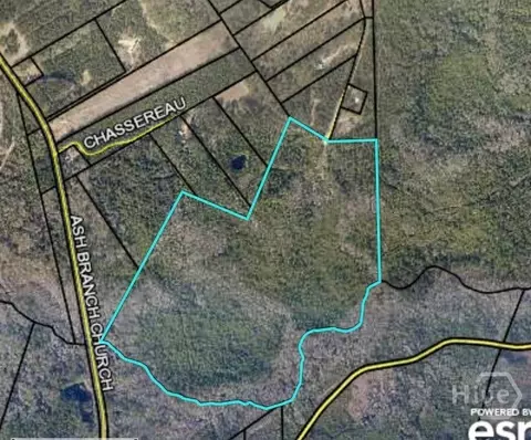 6703 Buchan Rd, Pembroke, GA 31321