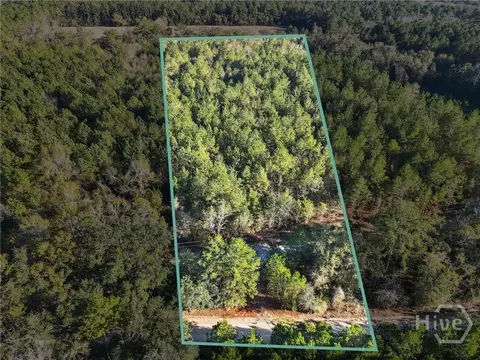 0 Beautiful Zion Cemetery Rd, Pembroke, GA 31321