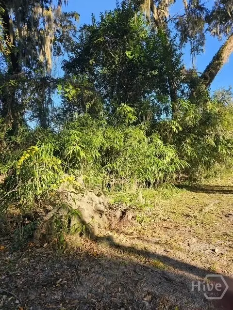 Undisclosed, Savannah, GA 31406