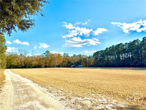 1419 Low Ground Rd, Guyton, GA 31312 photo 3