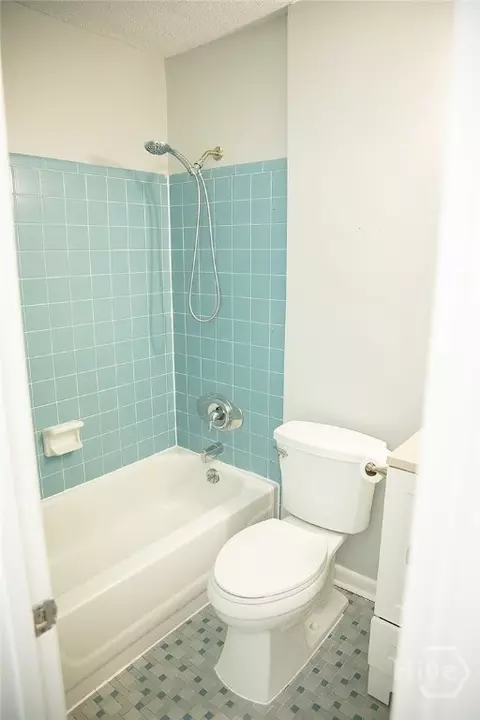 Bath - 7427 Stilson Leefield Rd, Brooklet, GA 30415 photo 3 of 3