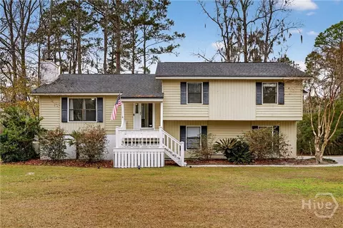 314 Mill Run Rd, Richmond Hill, GA 31324