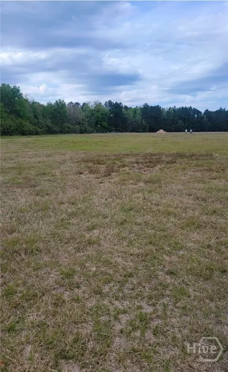 481 NE 523 Ne S T Morris Rd, Ludowici, GA 31316