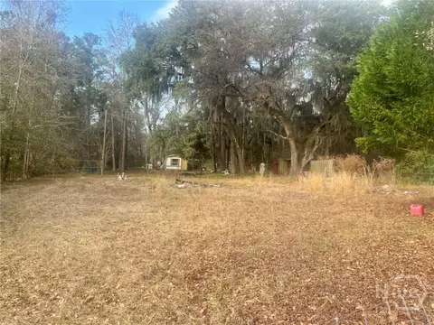 317 Oak Level Rd, Richmond Hill, GA 31324