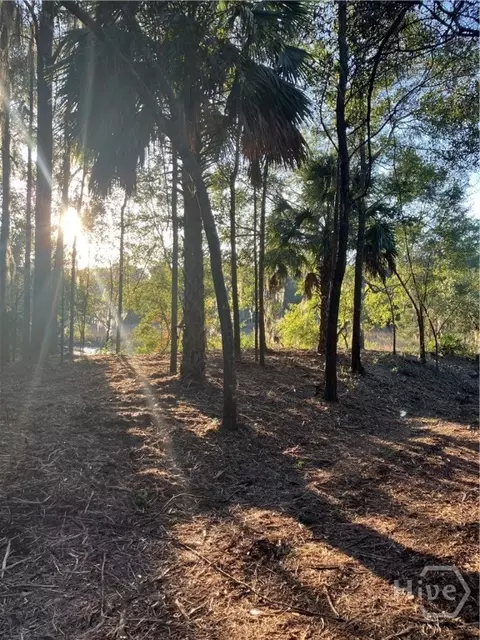lot8 Hudson Creek Dr SE, Darien, GA 31305
