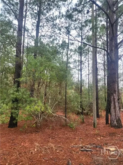 351 Poplar, Pembroke, GA 31321