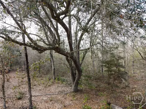 0 Floyd Rd #LOT 9, Pembroke, GA 31321