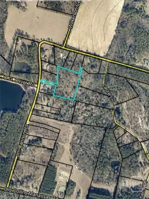 0 Jim Cannon Rd, Collins, GA 30421