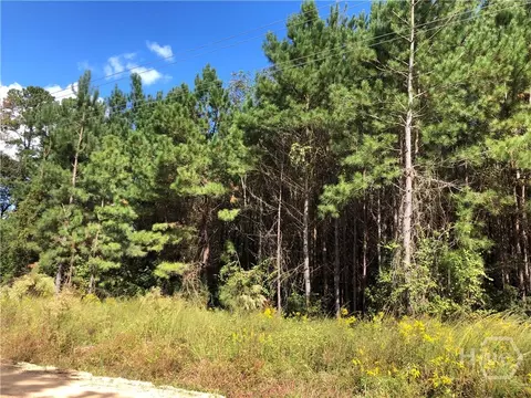 0 Bell Rd, Brooklet, GA 30415 photo 5