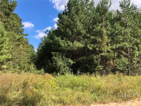 0 Bell Rd, Brooklet, GA 30415 photo 3