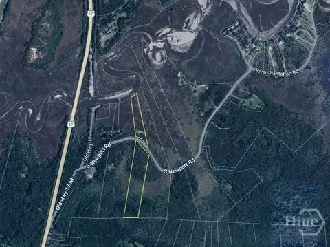 Tract 3 S Newport Drive Ne, Townsend, GA 31331