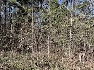 152-155 Dogwood Ln, Midway, GA 31320